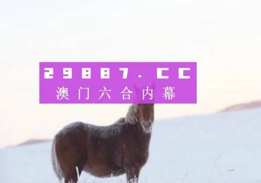 澳门必中一一肖一码服务内容,绝对经典解释定义_Console24.500